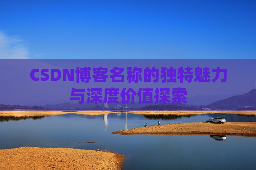CSDN博客名称的独特魅力与深度价值探索